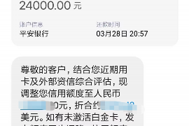 金阊为什么选择专业追讨公司来处理您的债务纠纷？